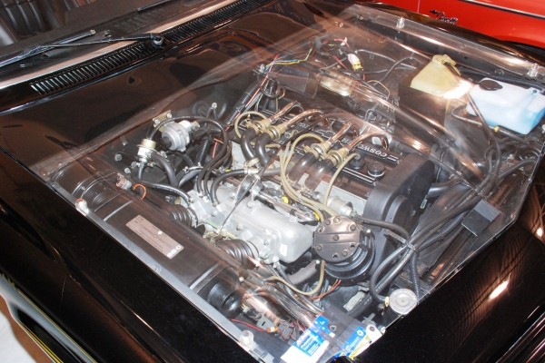 under the hood vega