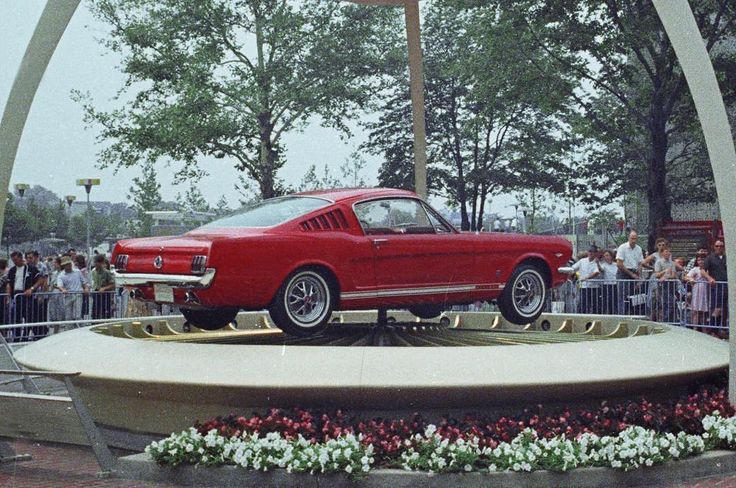 1964-65 Ford Mustang Fastback 2+2