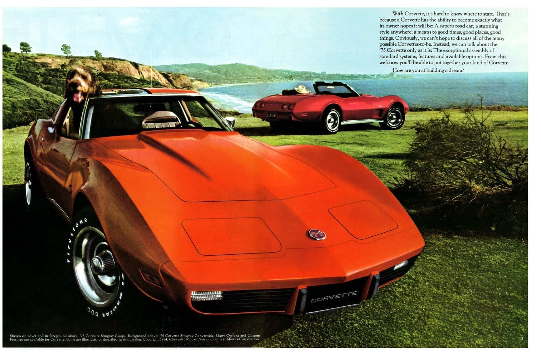 1975 Corvette Ads 5