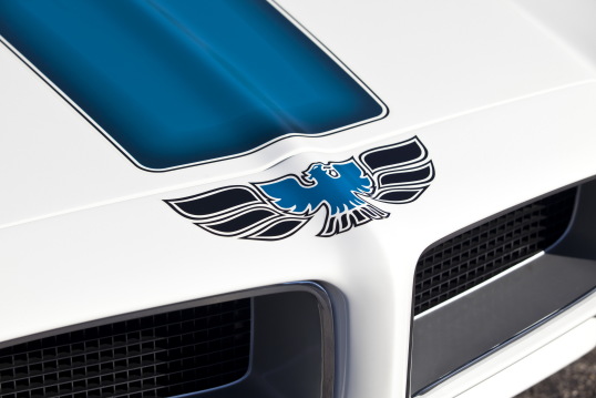Pontiac Firebird Trans Am logo
