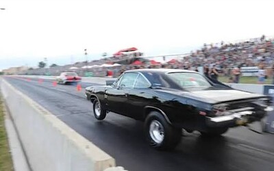 Roadkill Nights